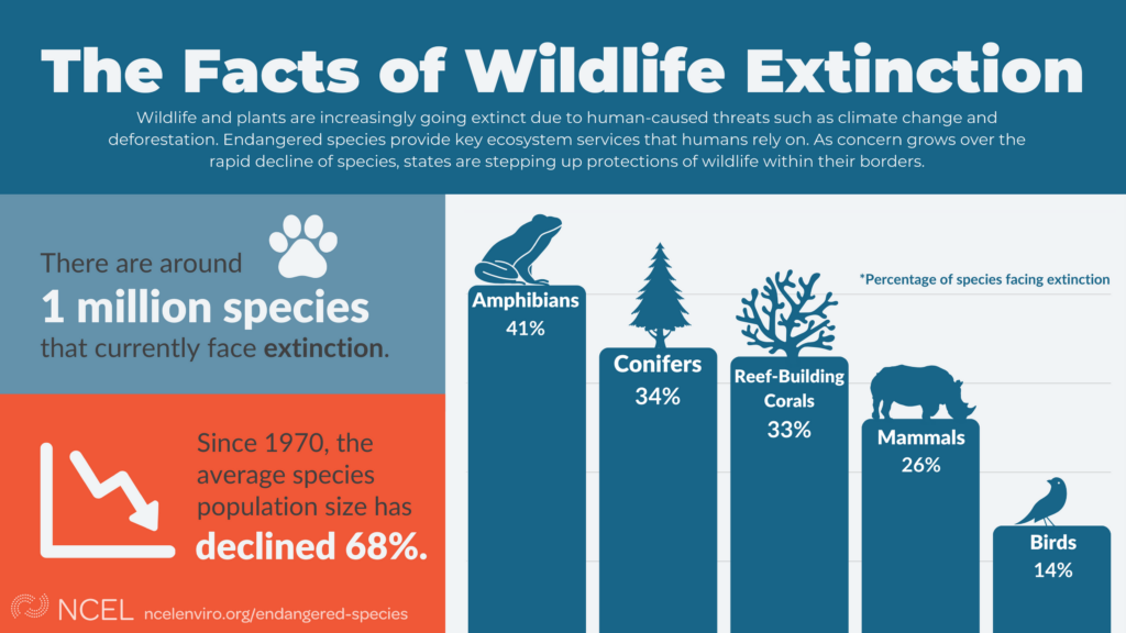 extinction_infographic.png