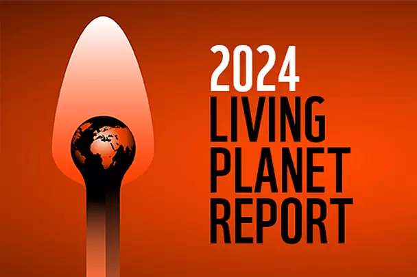 livingplanetreport.webp
